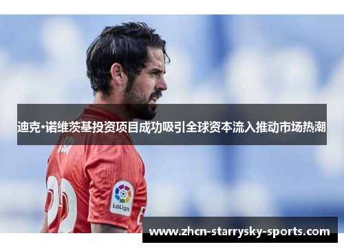 迪克·诺维茨基投资项目成功吸引全球资本流入推动市场热潮