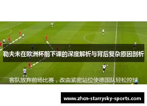 勒夫未在欧洲杯前下课的深度解析与背后复杂原因剖析