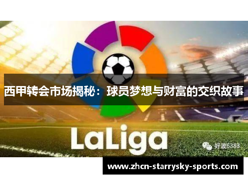 西甲转会市场揭秘：球员梦想与财富的交织故事