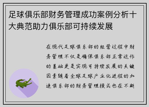 足球俱乐部财务管理成功案例分析十大典范助力俱乐部可持续发展